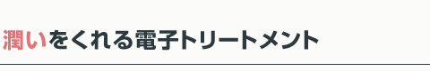 潤いをくれる電子トリートメント